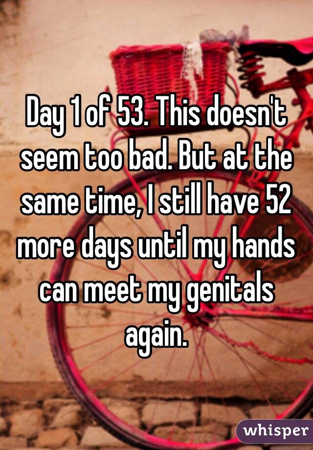 Day 1 of 53. This doesn't seem too bad. But at the same time, I still have 52 more days until my hands can meet my genitals again.