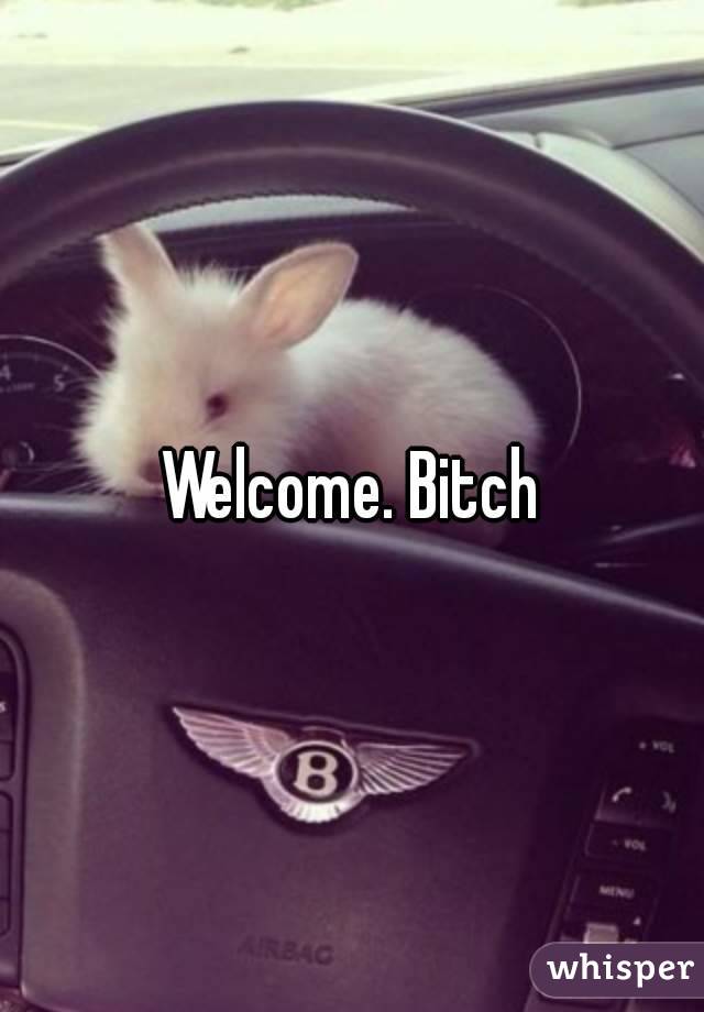 Welcome. Bitch