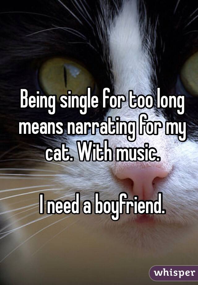 Being single for too long means narrating for my cat. With music.

I need a boyfriend.