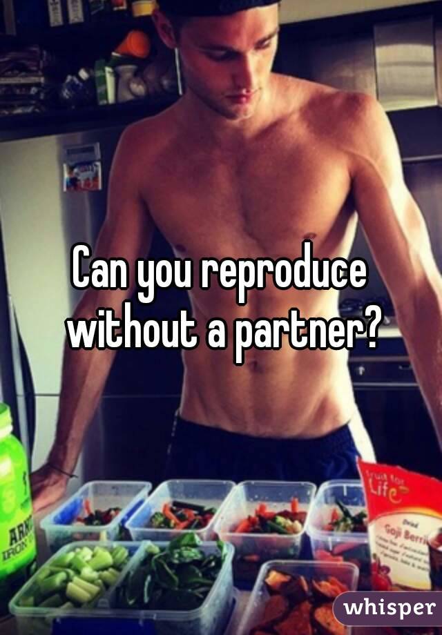 Can you reproduce without a partner?