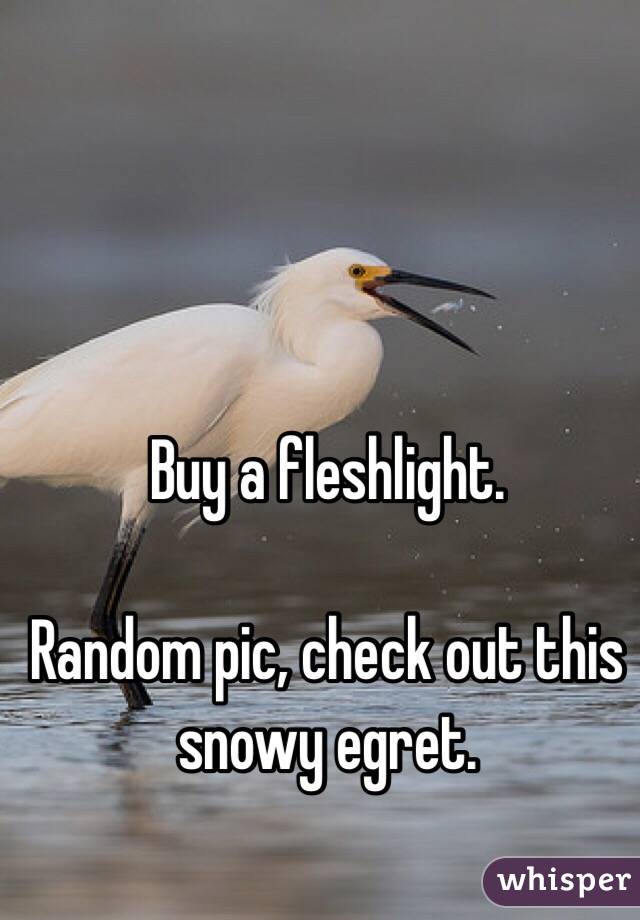 Buy a fleshlight.

Random pic, check out this snowy egret.