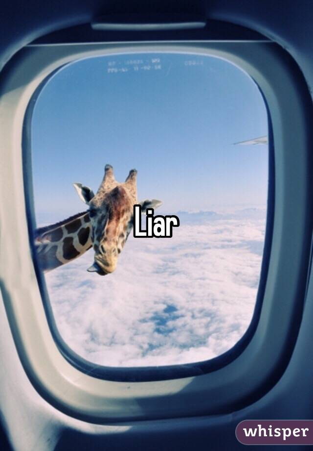 Liar