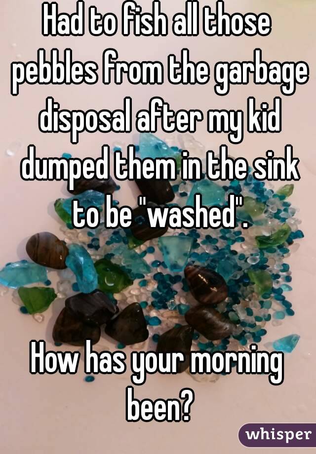 Had to fish all those pebbles from the garbage disposal after my kid dumped them in the sink to be "washed".


How has your morning been?