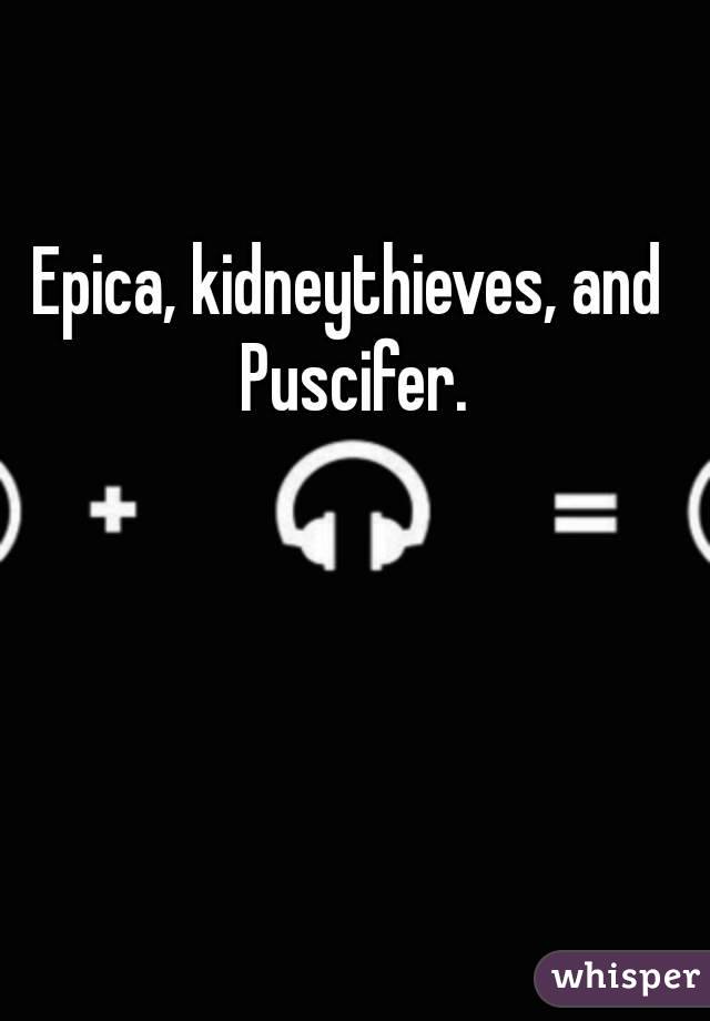 Epica, kidneythieves, and Puscifer.