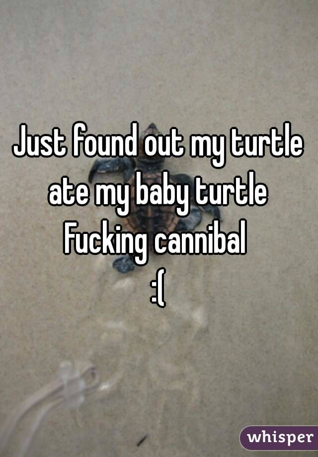 Just found out my turtle ate my baby turtle 
Fucking cannibal 
:(