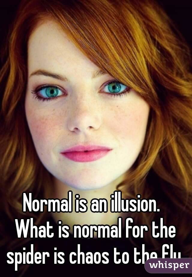 Normal is an illusion.  
What is normal for the spider is chaos to the fly. 