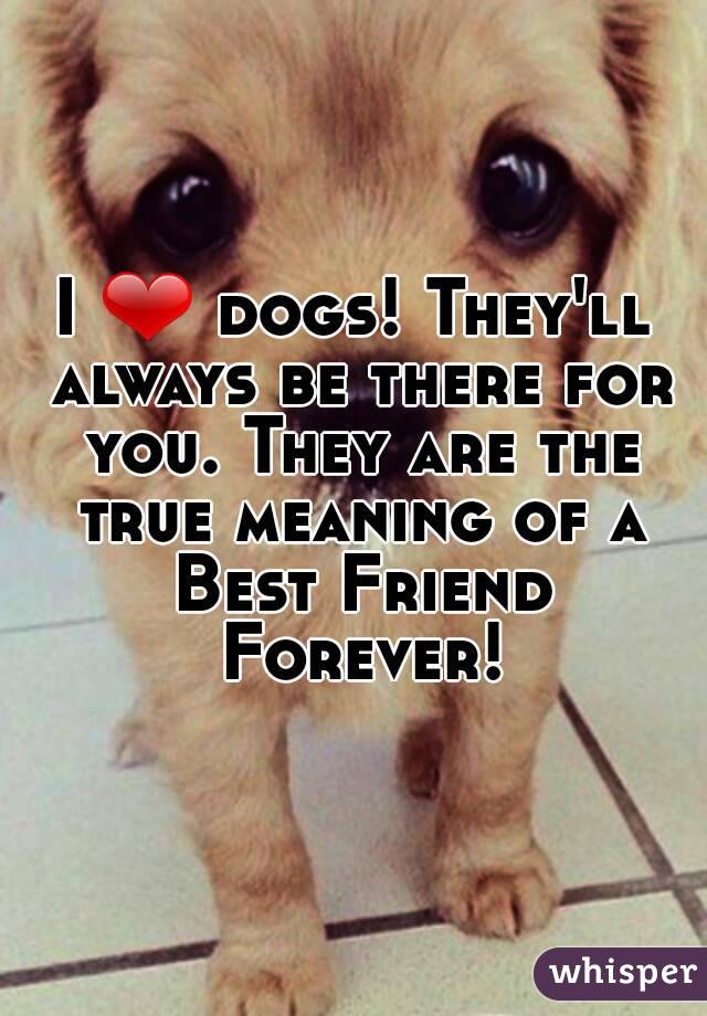 I ❤ dogs! They'll always be there for you. They are the true meaning of a Best Friend Forever!