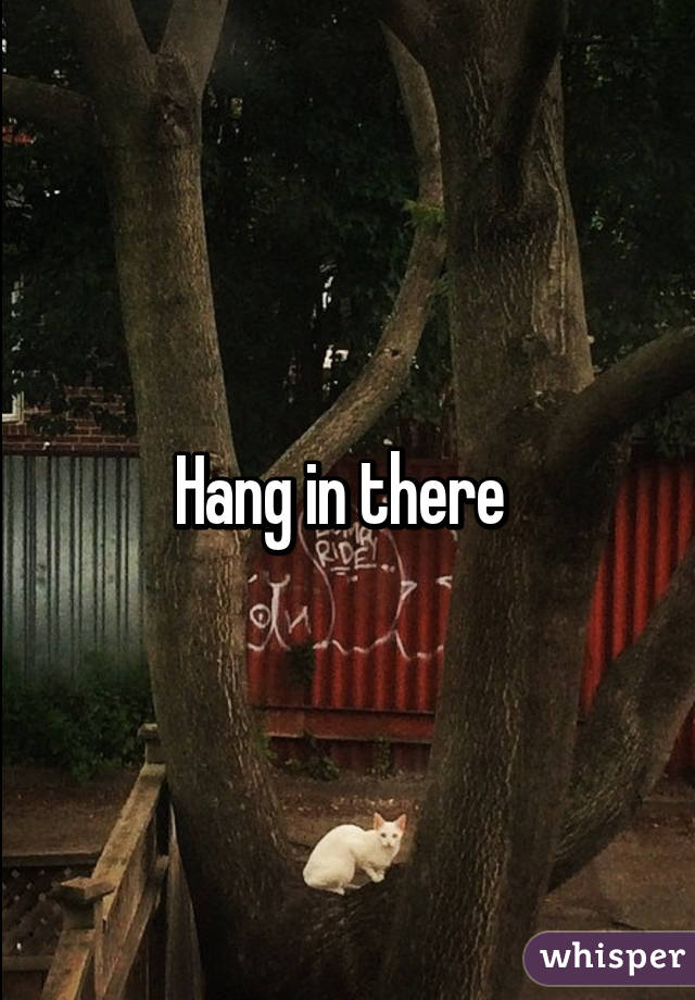 Hang in there 