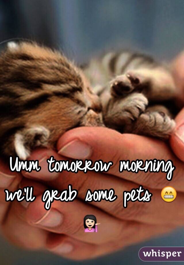 Umm tomorrow morning we'll grab some pets 😁💁🏻