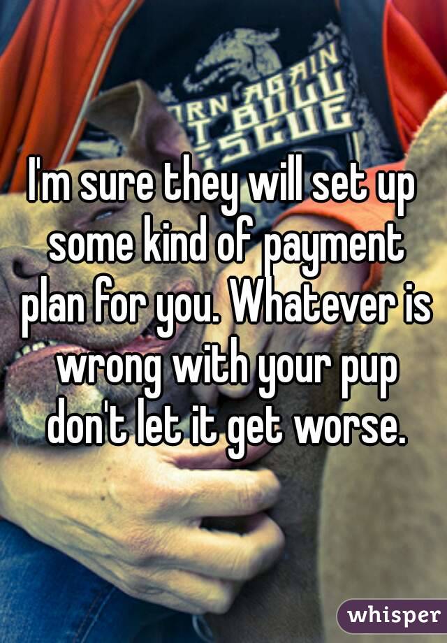 I'm sure they will set up some kind of payment plan for you. Whatever is wrong with your pup don't let it get worse.