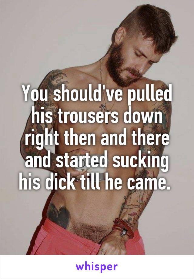 You should've pulled his trousers down right then and there and started sucking his dick till he came. 