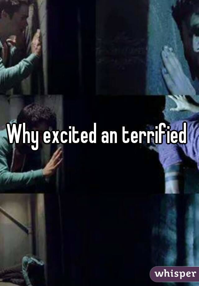 Why excited an terrified 