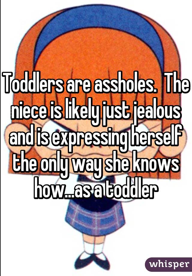 Toddlers are assholes.  The niece is likely just jealous and is expressing herself the only way she knows how...as a toddler