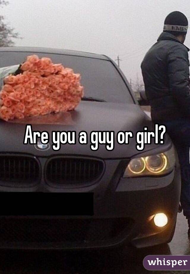 Are you a guy or girl?