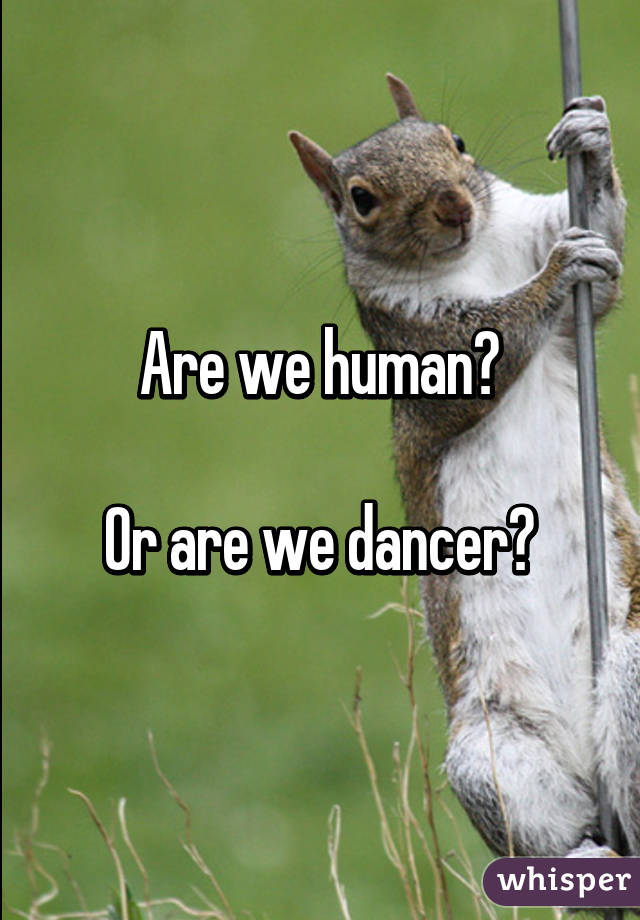 Are we human?

Or are we dancer?