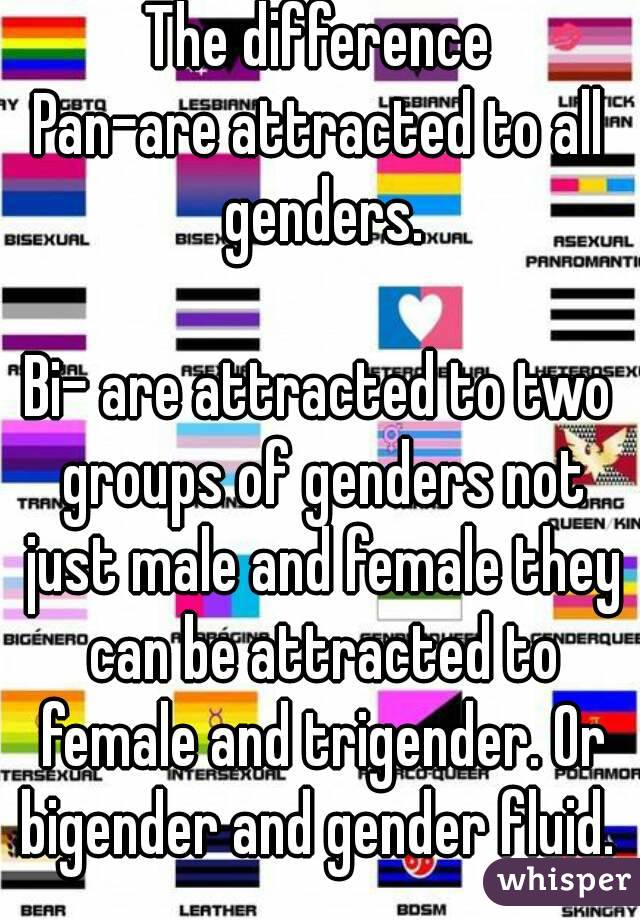 The difference
Pan-are attracted to all genders.

Bi- are attracted to two groups of genders not just male and female they can be attracted to female and trigender. Or bigender and gender fluid. 