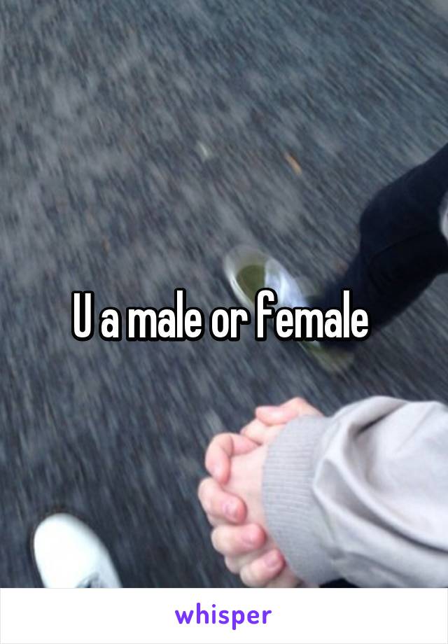 U a male or female 