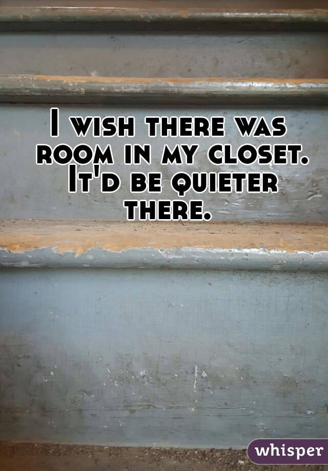 I wish there was room in my closet. It'd be quieter there. 