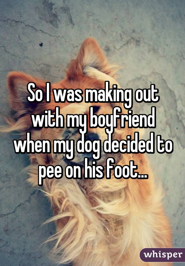 So I was making out with my boyfriend when my dog decided to pee on his foot...