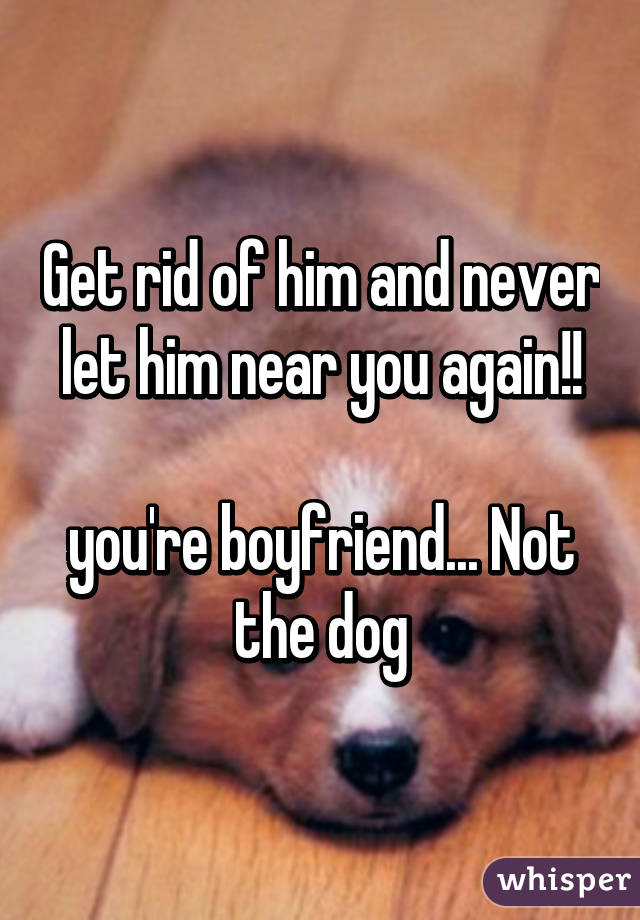 Get rid of him and never let him near you again!!

you're boyfriend... Not the dog