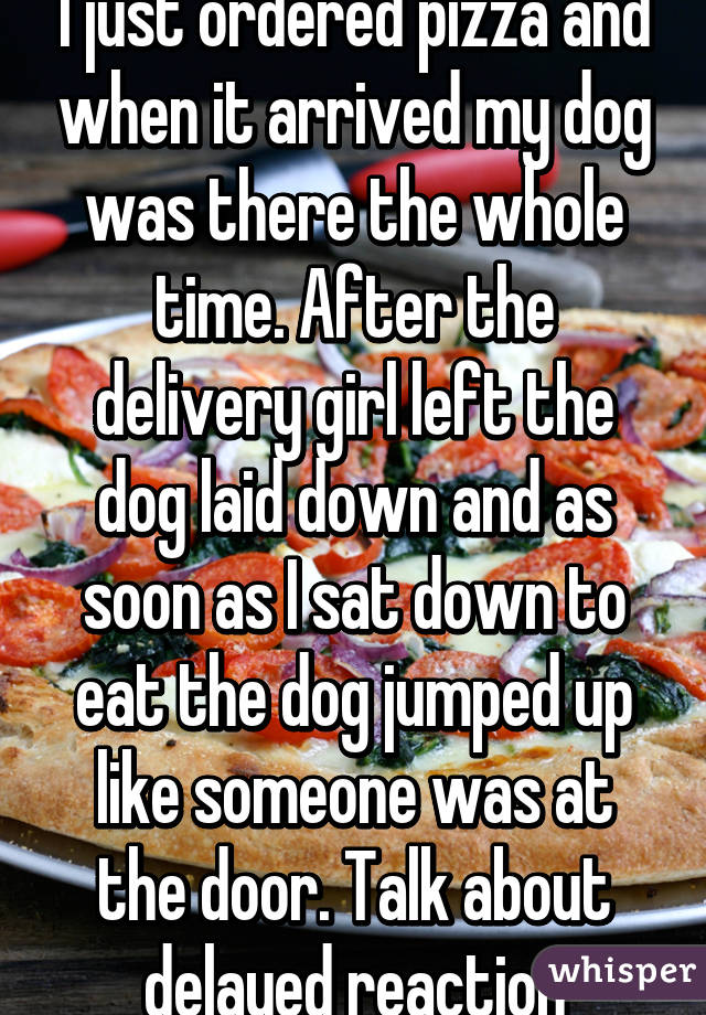 I just ordered pizza and when it arrived my dog was there the whole time. After the delivery girl left the dog laid down and as soon as I sat down to eat the dog jumped up like someone was at the door. Talk about delayed reaction