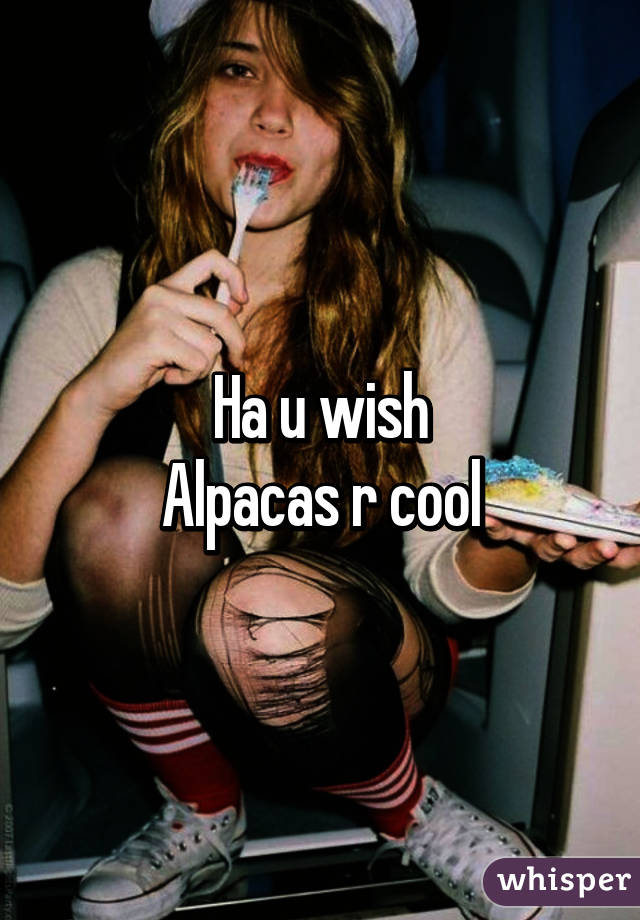 Ha u wish
Alpacas r cool