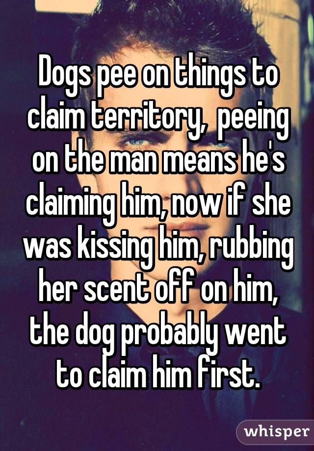 Dogs pee on things to claim territory,  peeing on the man means he's claiming him, now if she was kissing him, rubbing her scent off on him, the dog probably went to claim him first.