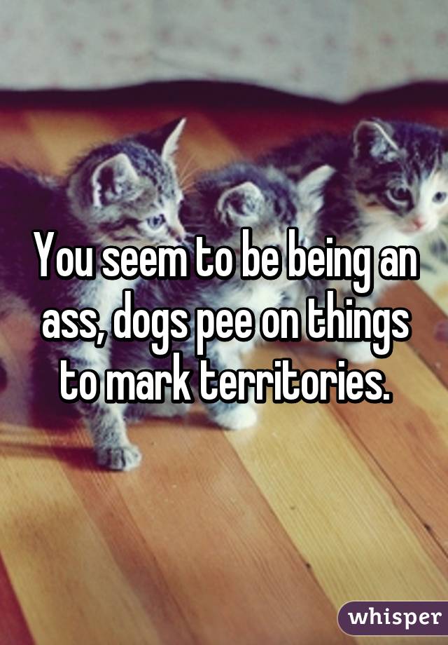 You seem to be being an ass, dogs pee on things to mark territories.