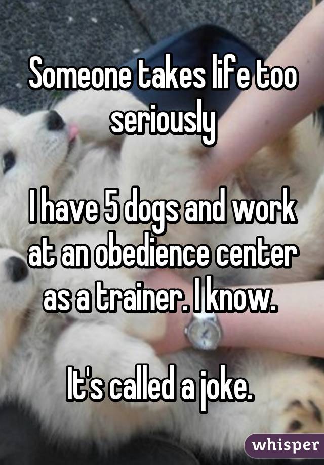 Someone takes life too seriously

I have 5 dogs and work at an obedience center as a trainer. I know. 

It's called a joke. 