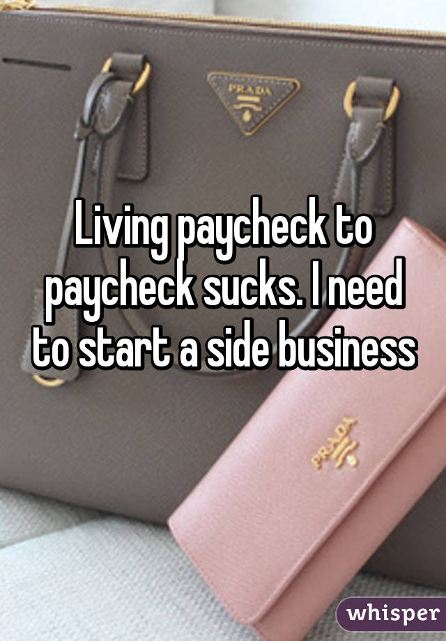 Living paycheck to paycheck sucks. I need to start a side business 