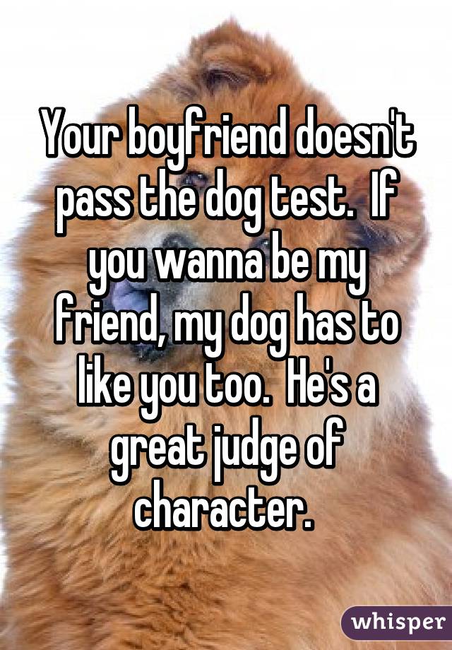 Your boyfriend doesn't pass the dog test.  If you wanna be my friend, my dog has to like you too.  He's a great judge of character. 