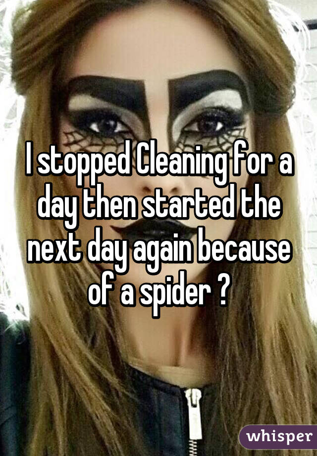 I stopped Cleaning for a day then started the next day again because of a spider 😂