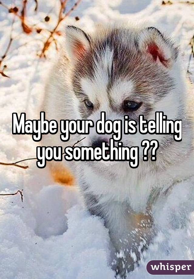 Maybe your dog is telling you something 😂😂