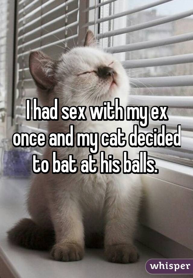 I had sex with my ex once and my cat decided to bat at his balls. 