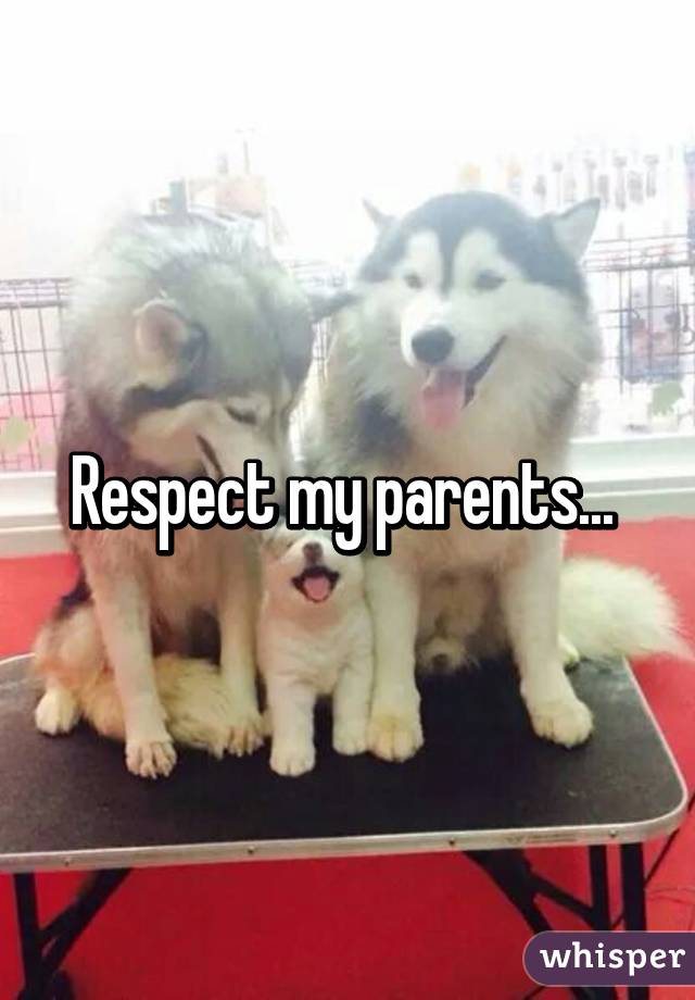 Respect my parents... 