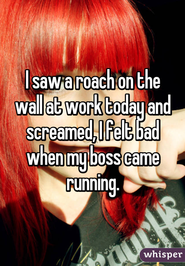 I saw a roach on the wall at work today and screamed, I felt bad when my boss came running.