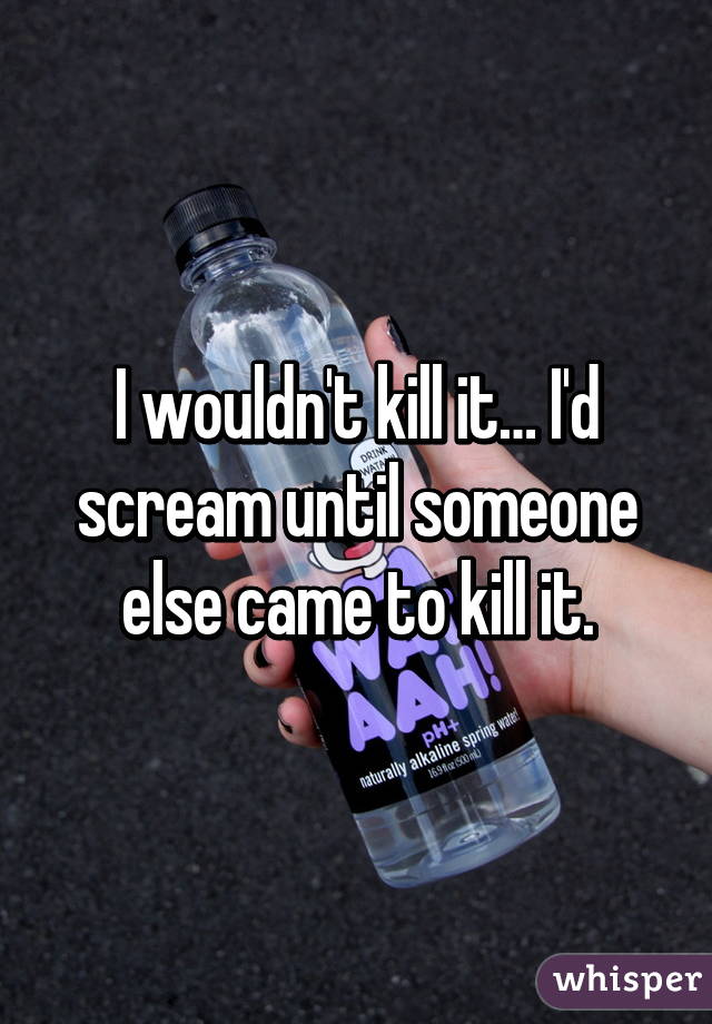 I wouldn't kill it… I'd scream until someone else came to kill it.