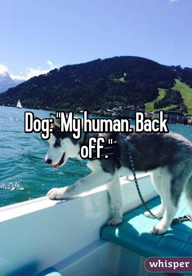 Dog: "My human. Back off."