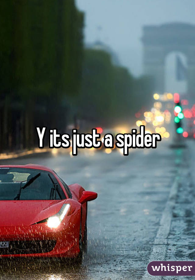 Y its just a spider