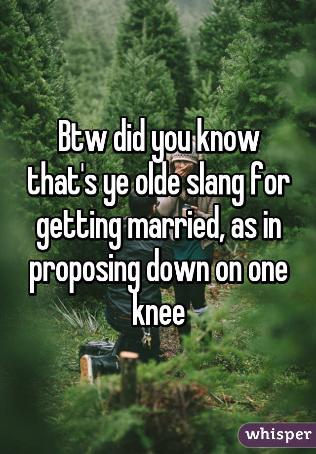 Btw did you know that's ye olde slang for getting married, as in proposing down on one knee