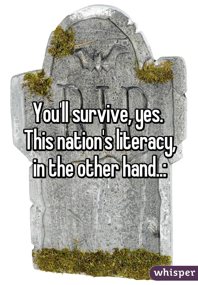 You'll survive, yes. 
This nation's literacy, in the other hand..: