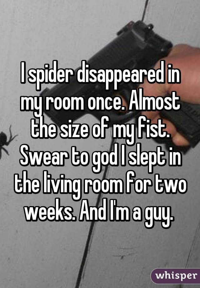 I spider disappeared in my room once. Almost the size of my fist. Swear to god I slept in the living room for two weeks. And I'm a guy. 