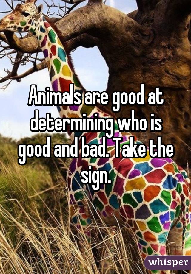 Animals are good at determining who is good and bad. Take the sign.