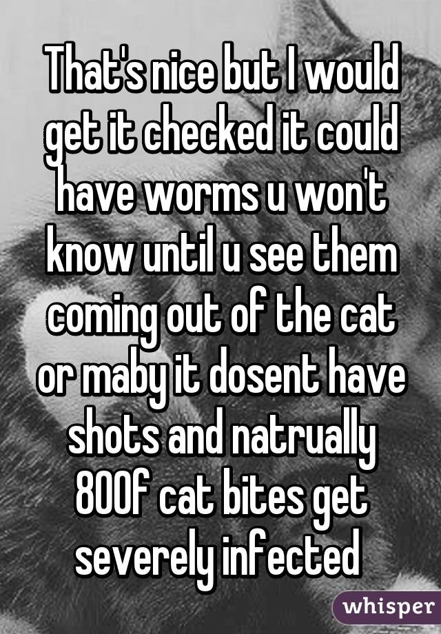 That's nice but I would get it checked it could have worms u won't know until u see them coming out of the cat or maby it dosent have shots and natrually 80% of cat bites get severely infected 