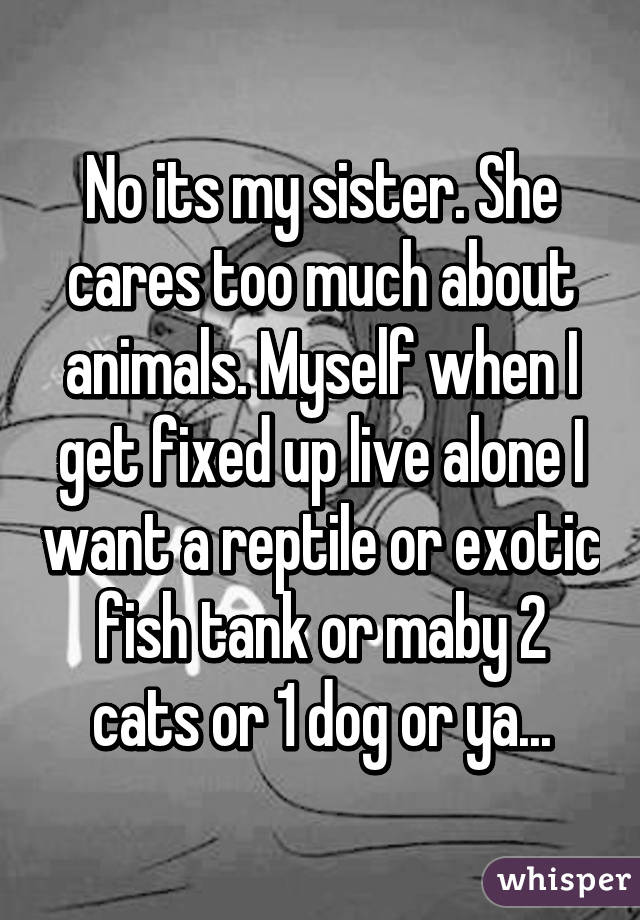 No its my sister. She cares too much about animals. Myself when I get fixed up live alone I want a reptile or exotic fish tank or maby 2 cats or 1 dog or ya...