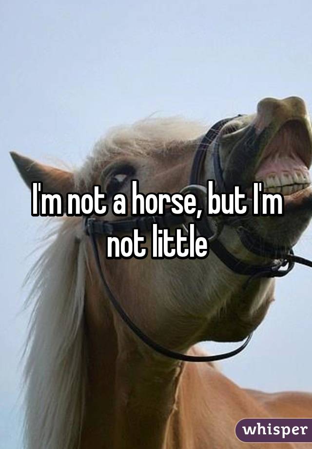 I'm not a horse, but I'm not little