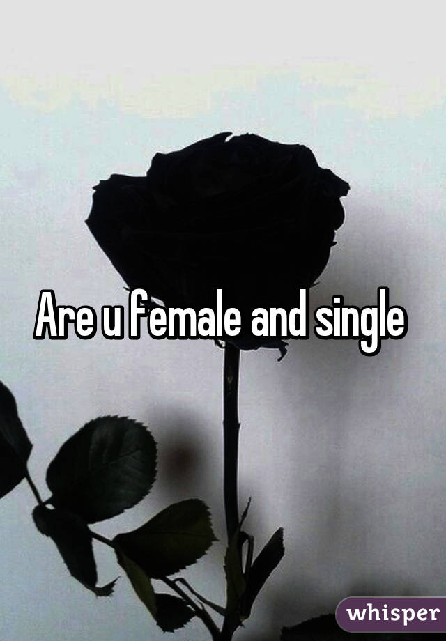 Are u female and single 