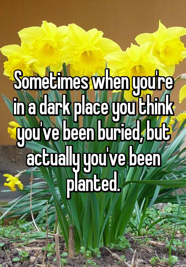 sometimes-when-you-re-in-a-dark-place-you-think-you-ve-been-buried-but