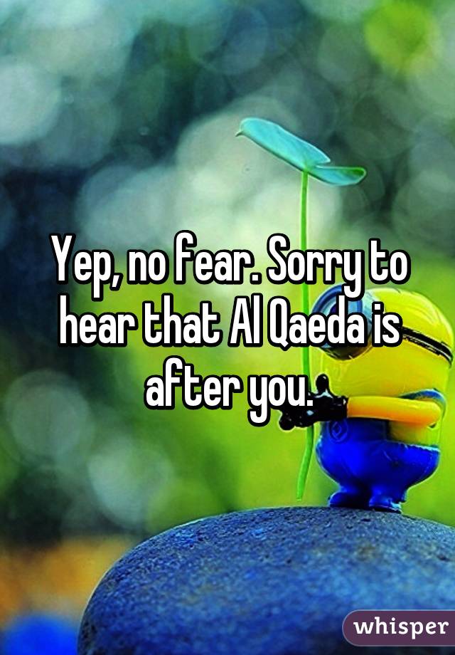 Yep, no fear. Sorry to hear that Al Qaeda is after you.