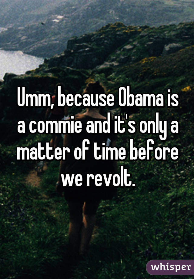 Umm, because Obama is a commie and it's only a matter of time before we revolt.